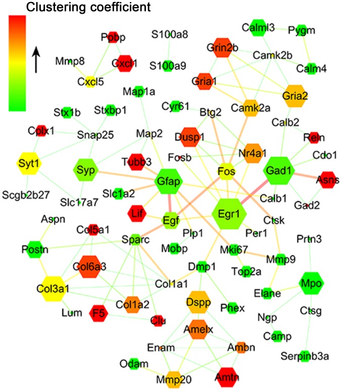 Figure 5.