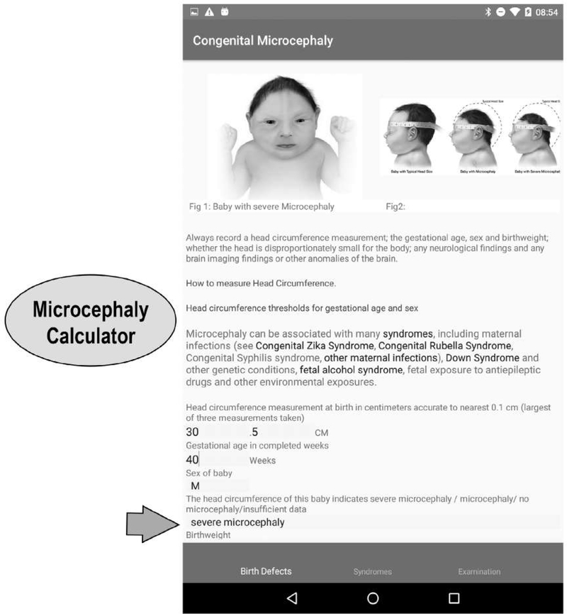 FIGURE 4