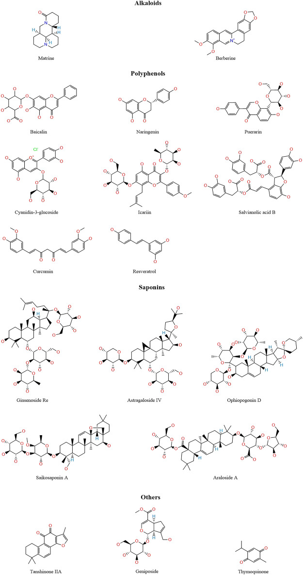 FIGURE 3