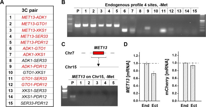 Fig 6