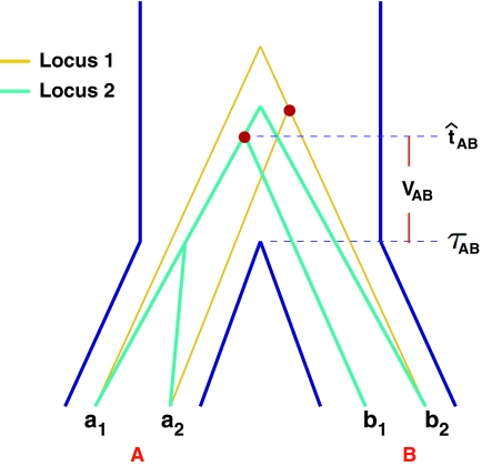 FIG. 1.