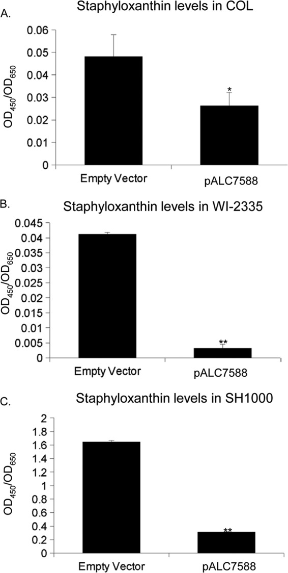 FIG 6