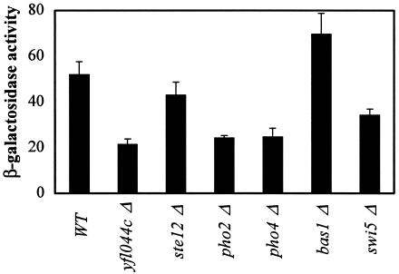 FIG. 5.