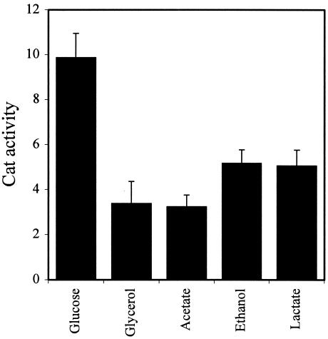 FIG. 8.