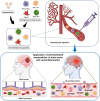 Image, graphical abstract