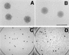 FIG. 3.