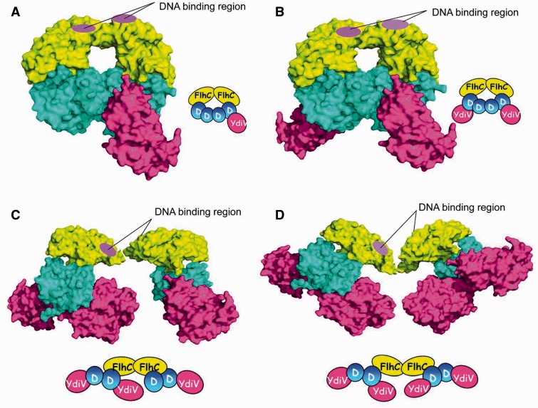 Figure 5.