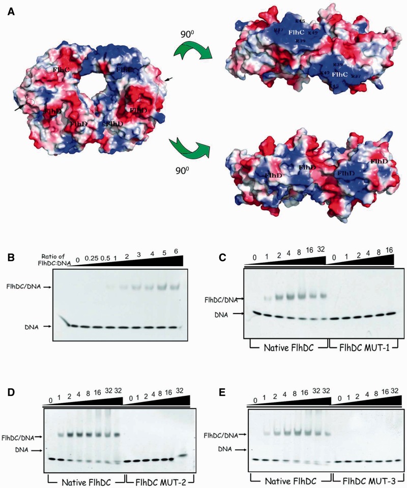 Figure 7.