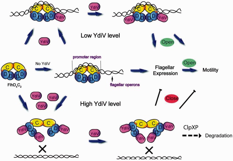 Figure 10.