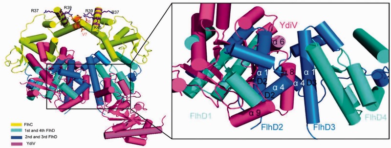 Figure 4.