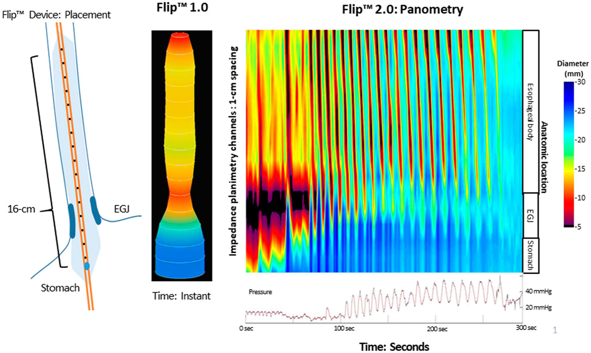 Figure 1.