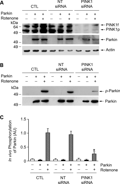 Figure 4.