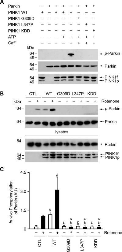 Figure 3.