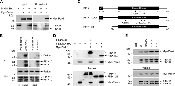 Figure 1.