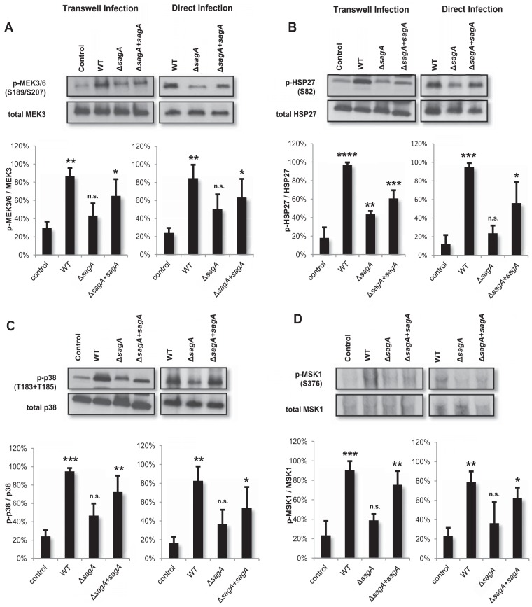 FIG 6