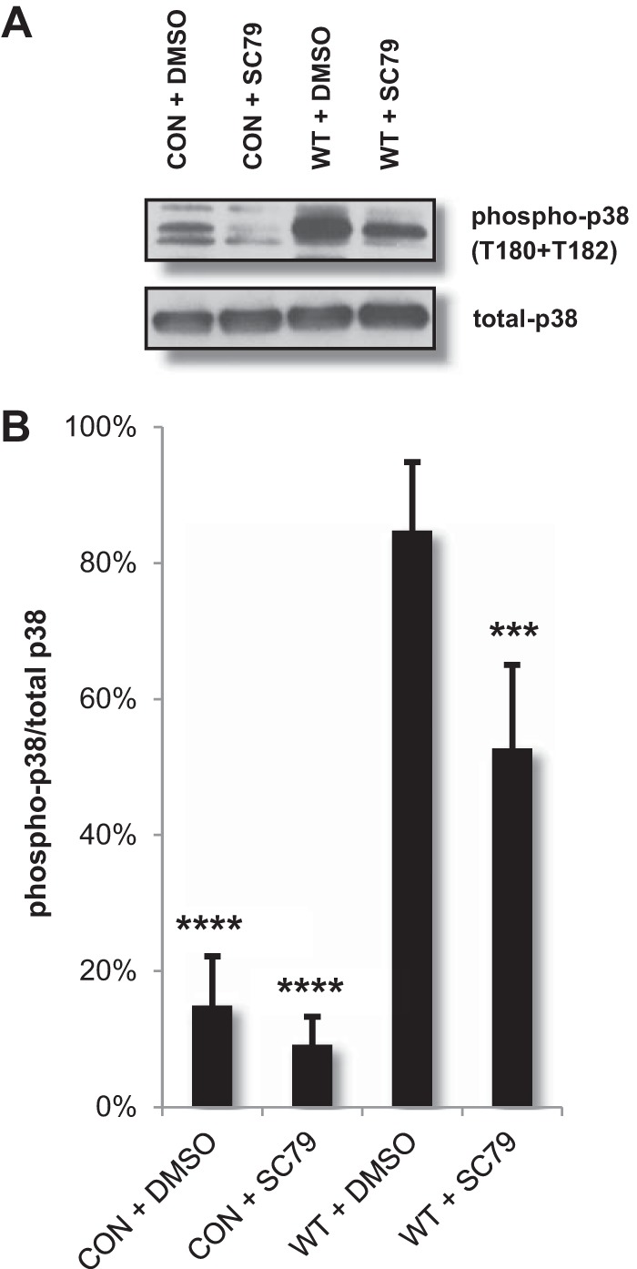 FIG 5