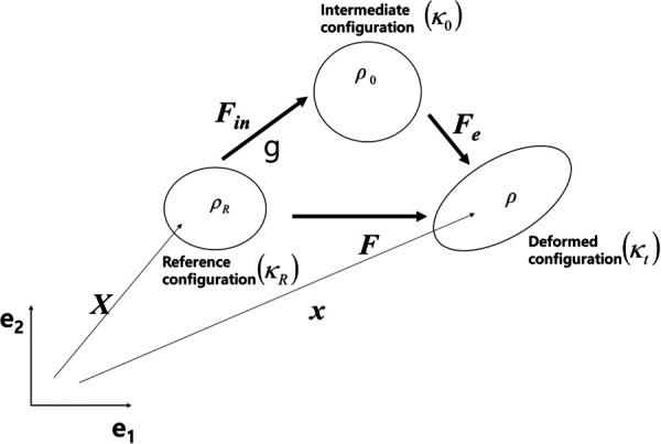 Kinematics of the material