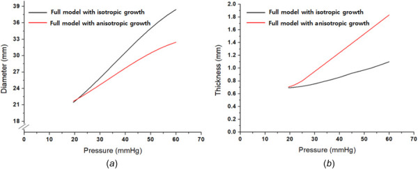 Anisotropic growth effect: (a) anisotropic growth effect on diameter and (b) anisotropic growth effect on thickness