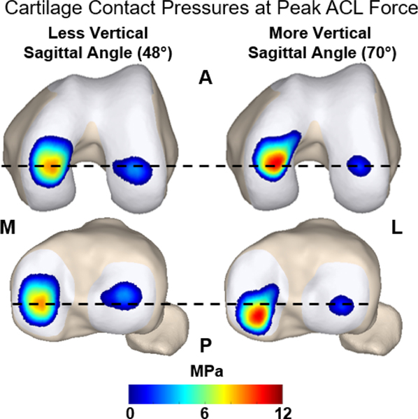 Figure 6: