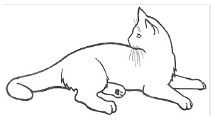 Inline graphic
