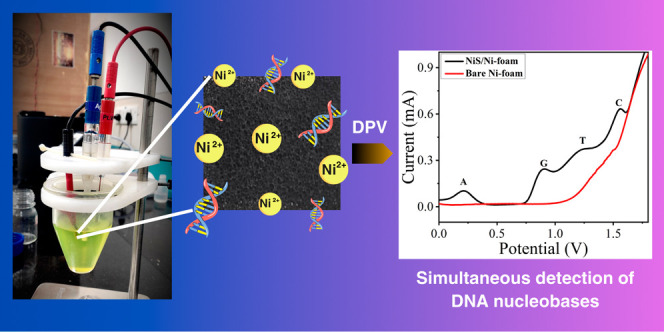 graphic file with name ao4c07106_0014.jpg