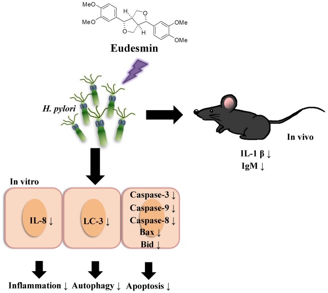 Figure 11.