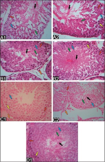 Figure-3