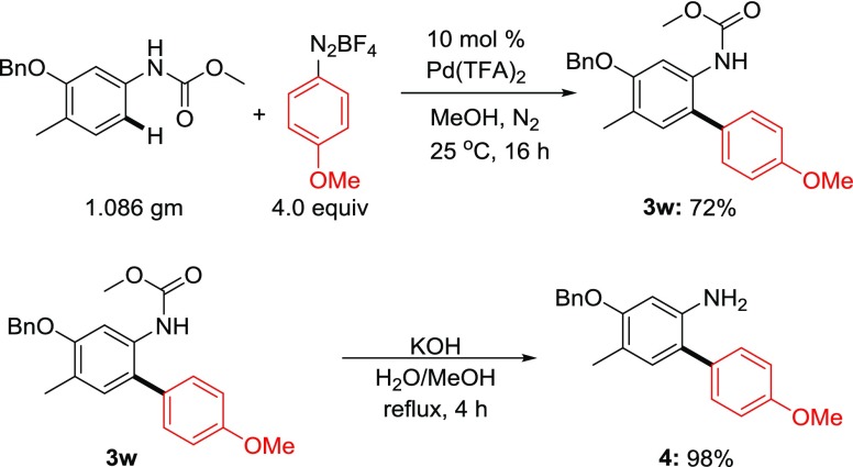 Scheme 5