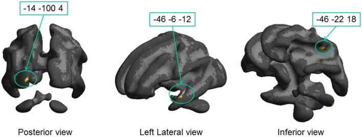 Fig. 4