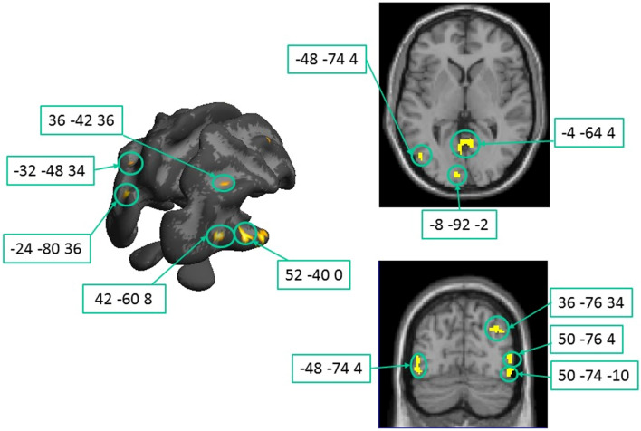 Fig. 6