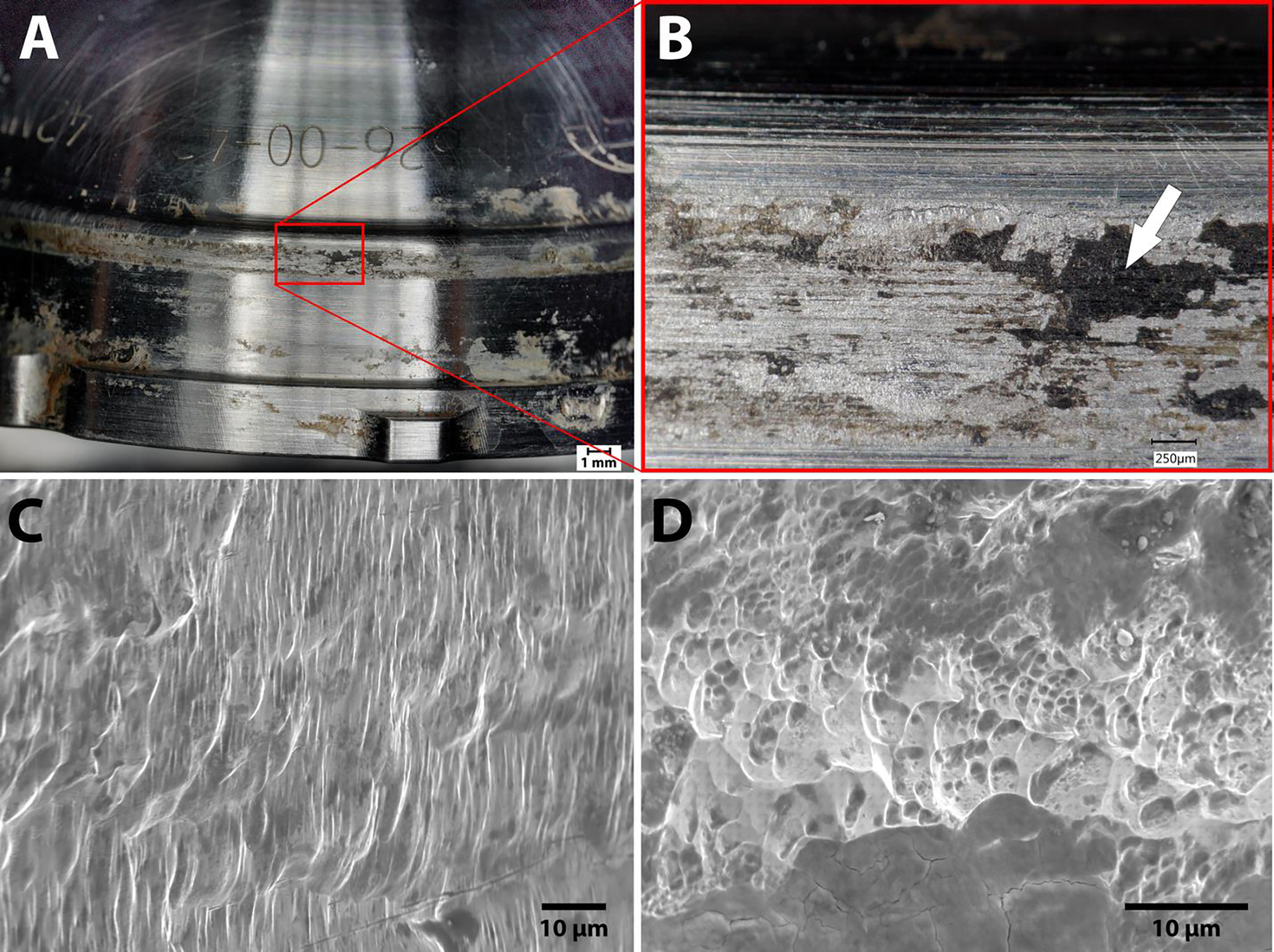 Figure 3: