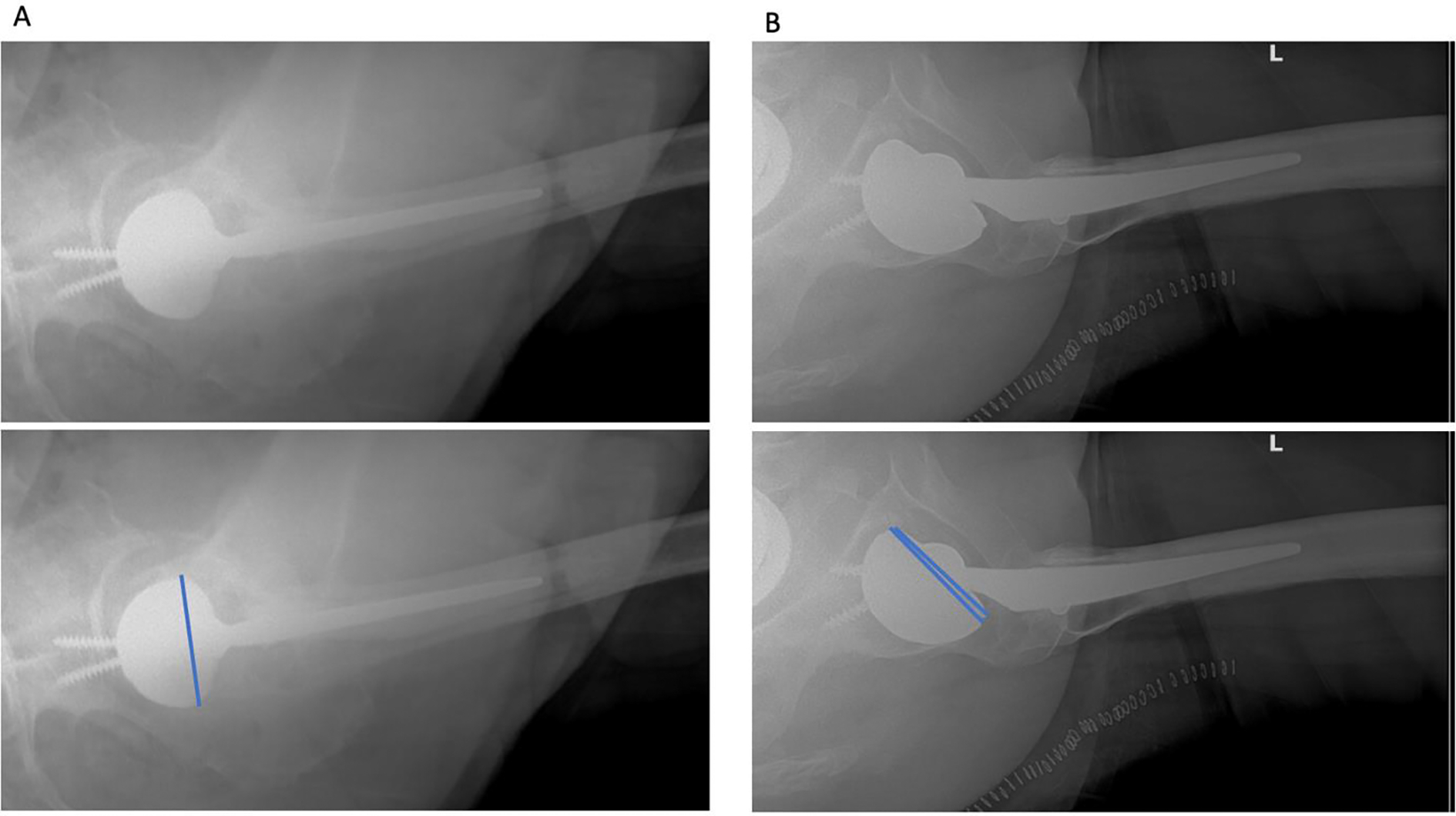 Figure 2: