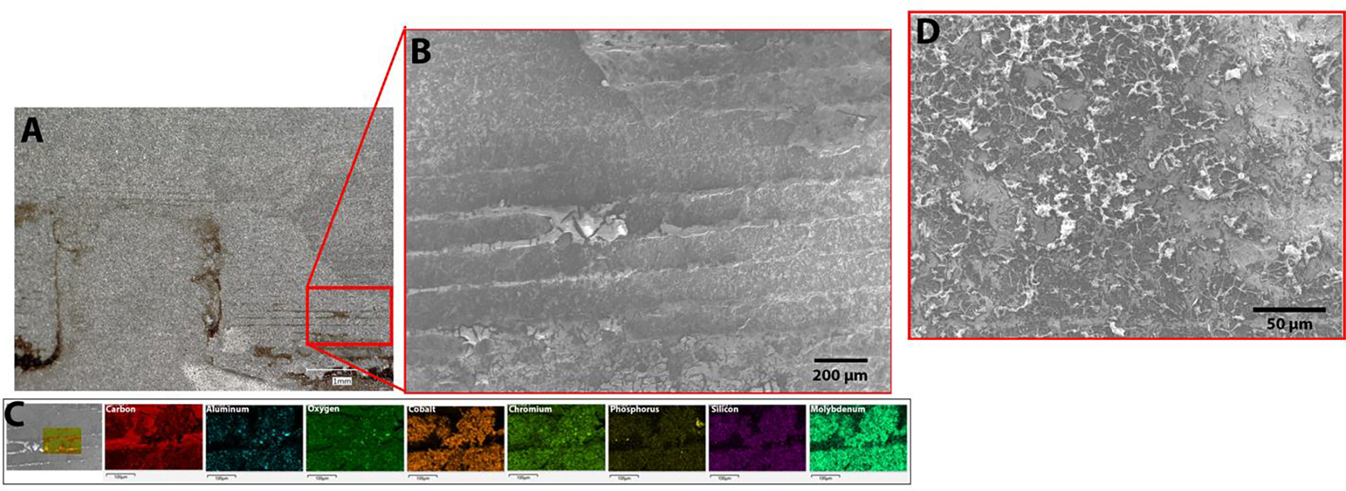 Figure 5: