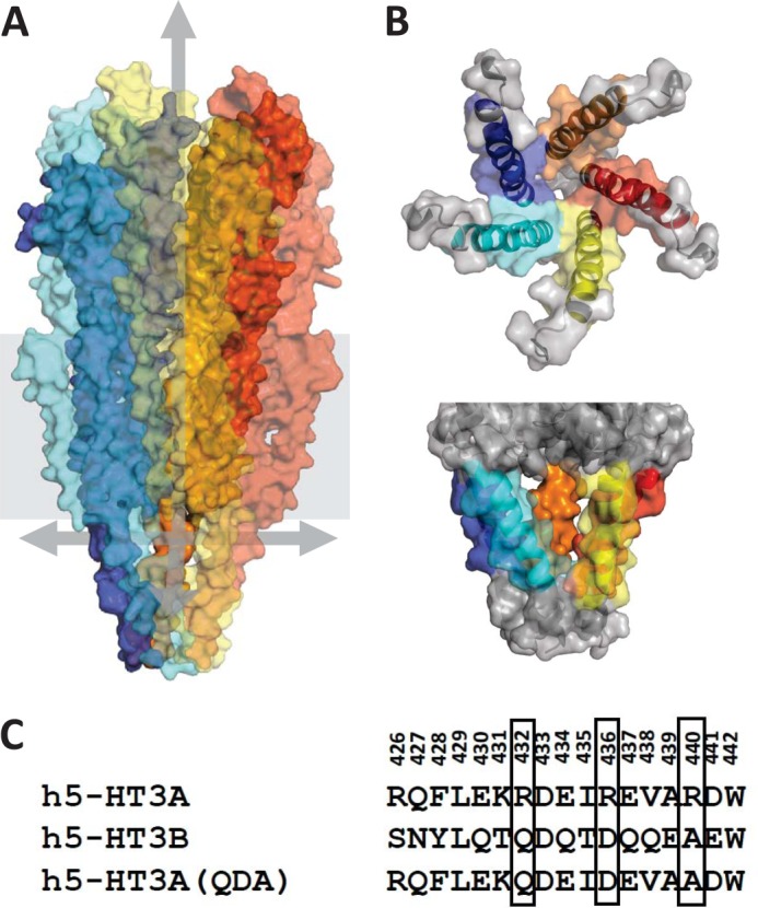 FIGURE 1.