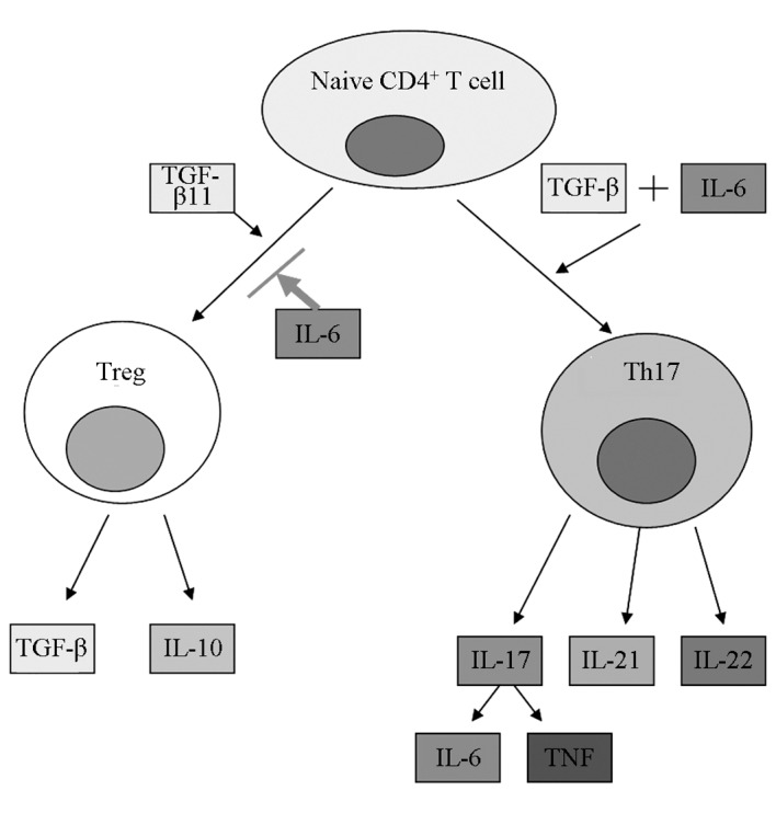 Figure 6.