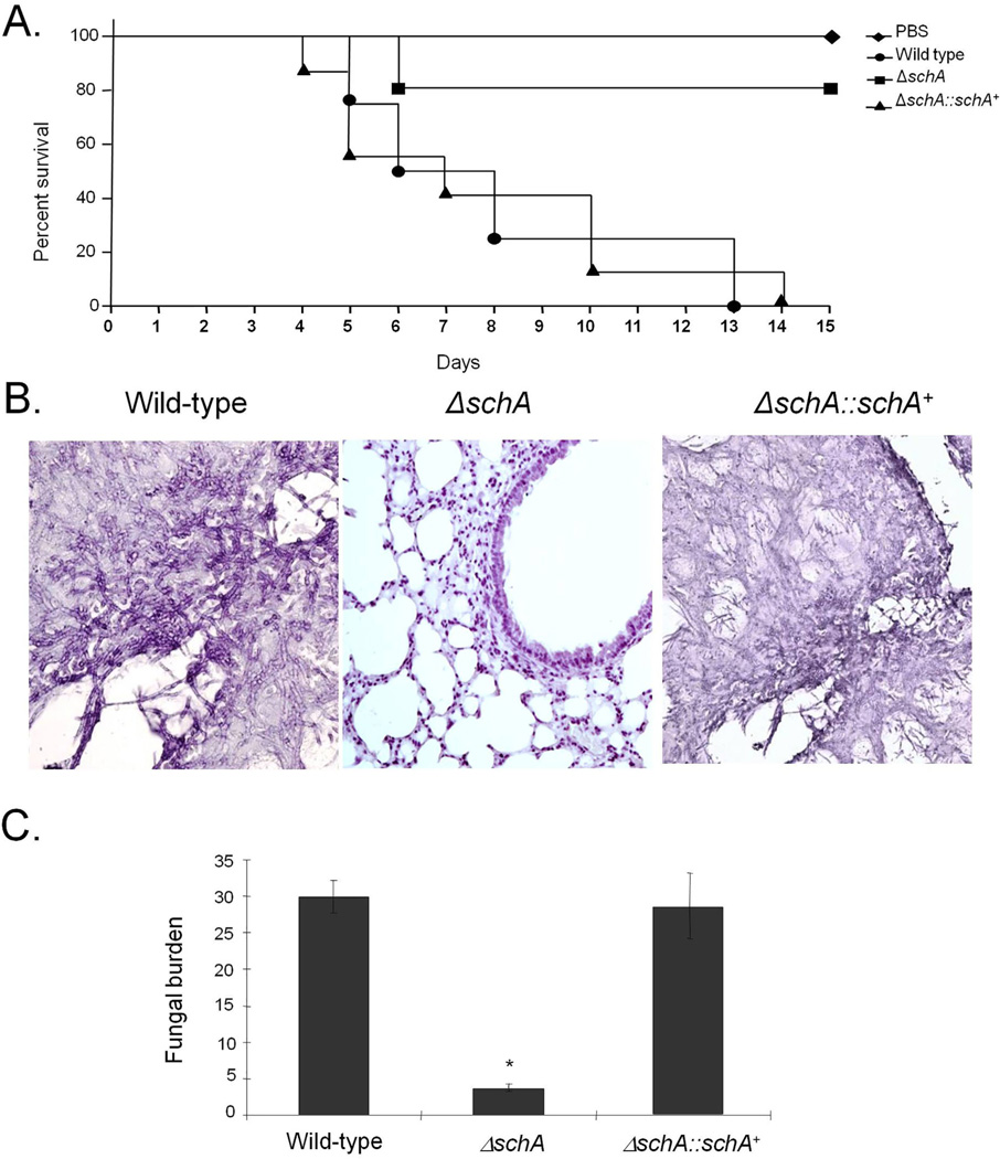 Fig. 11