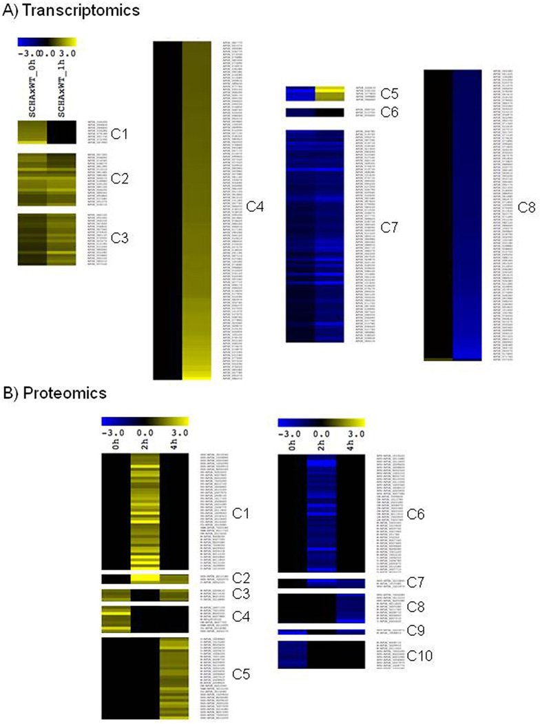 Fig. 9