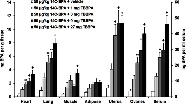 Bar graphs with standard error plotting concentrations of start superscript 14 end superscript C-BPA in nanograms BPA per gram tissue (left y-axis) and in nanograms BPA per milliliter serum (right y-axis) for heart, lung, muscle, adipose, uterus, ovaries, and serum of female mice (x-axis) for the following dietary administration groups: 50 micrograms per kilogram 14C BPA plus vehicle, 50 micrograms per kilogram 14C BPA plus 1 milligram TBBPA, 50 micrograms per kilogram 14C BPA plus 3 milligrams TBBPA, 50 micrograms per kilogram 14C BPA plus 9 milligrams TBBPA, and 50 micrograms per kilogram 14C BPA plus 27 milligrams TBBPA.