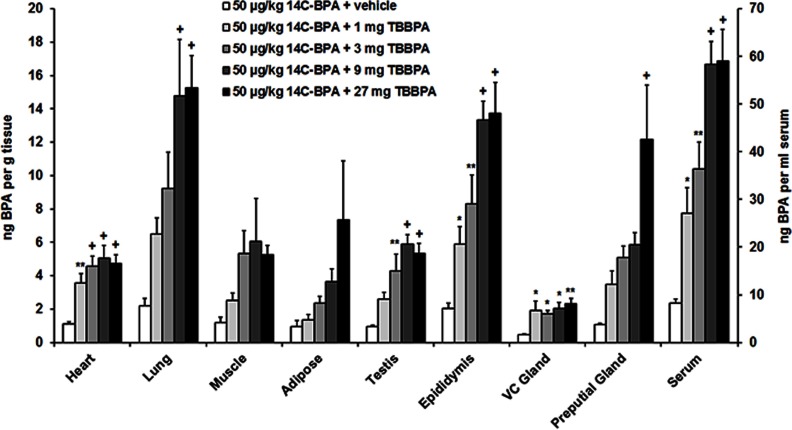 Bar graphs with standard error plotting concentrations of start superscript 14 end superscript C-BPA in nanograms BPA per gram tissue (left y-axis) and in nanograms BPA per milliliter serum (right y-axis) for heart, lung, muscle, adipose, testis, epididymis, VC gland, preputial gland, and serum of male mice (x-axis) for the following dietary administration groups: 50 micrograms per kilogram 14C BPA plus vehicle, 50 micrograms per kilogram 14C BPA plus 1 milligram TBBPA, 50 micrograms per kilogram 14C BPA plus 3 milligrams TBBPA, 50 micrograms per kilogram 14C BPA plus 9 milligrams TBBPA, and 50 micrograms per kilogram 14C BPA plus 27 milligrams TBBPA.