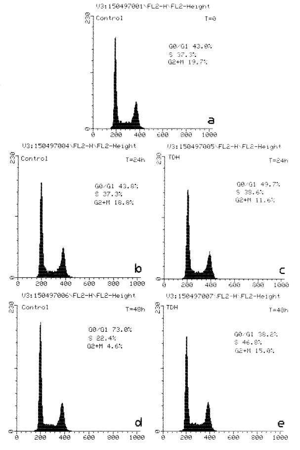 FIG. 6