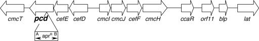 FIG. 1.