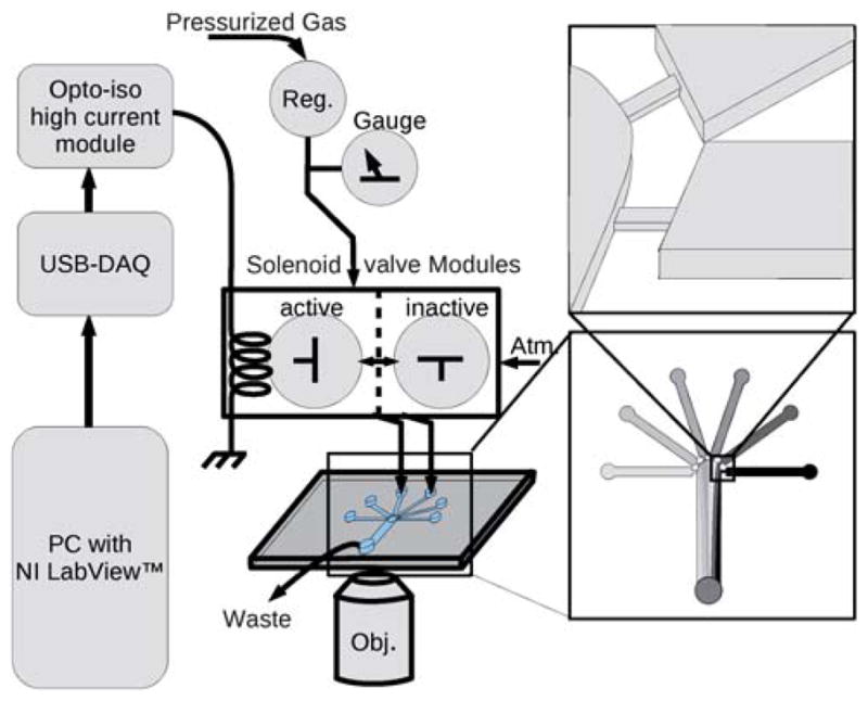 Fig. 1