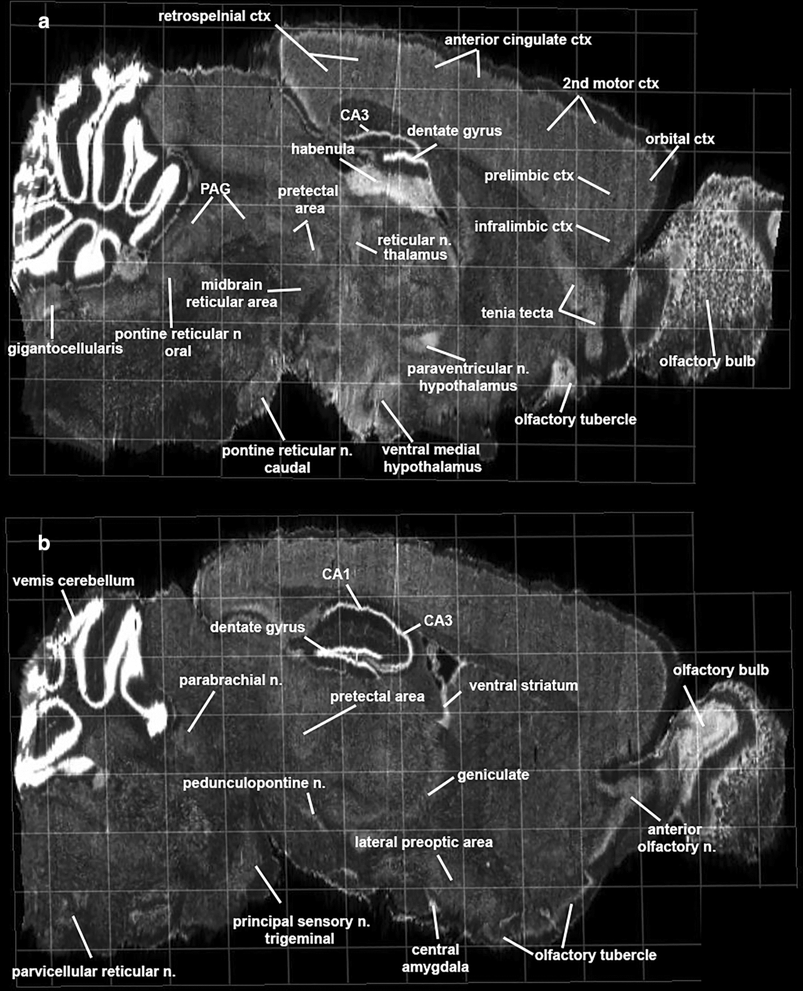 Fig. 5