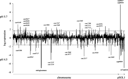 Fig. 4