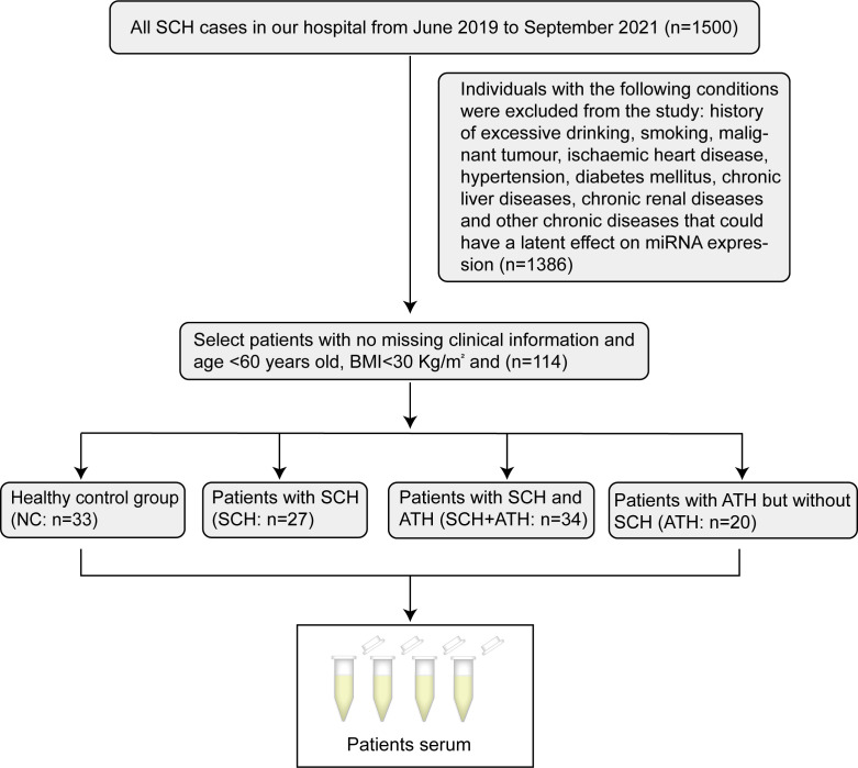 Figure 1