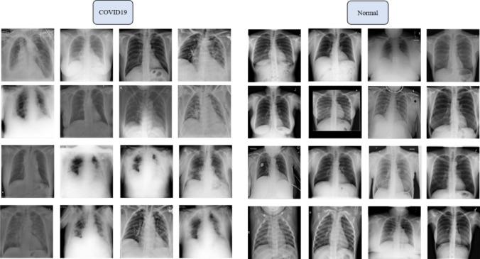 Fig. 8