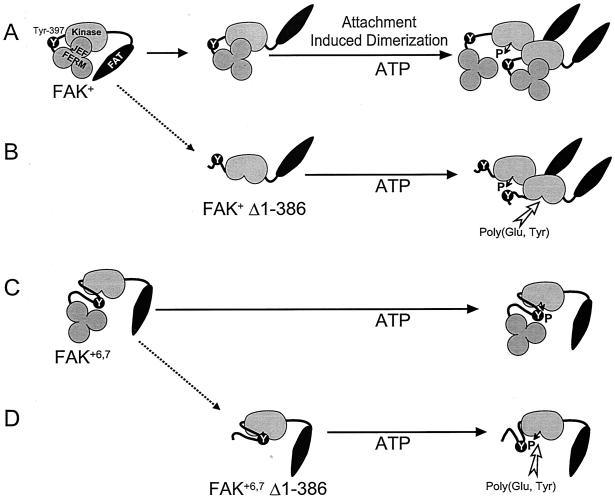 FIG. 9.