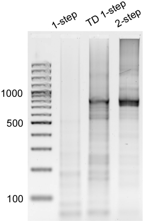 Figure 2.