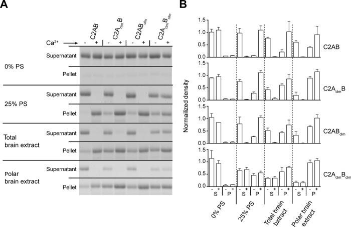 FIGURE 5: