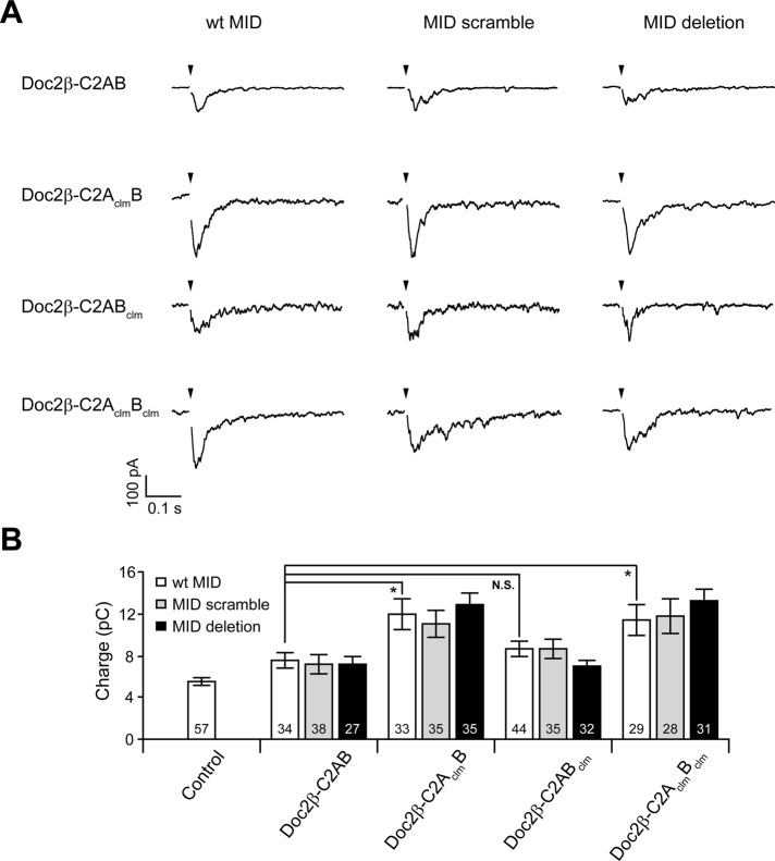 FIGURE 6: